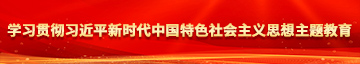 欧美女生操男生学习贯彻习近平新时代中国特色社会主义思想主题教育